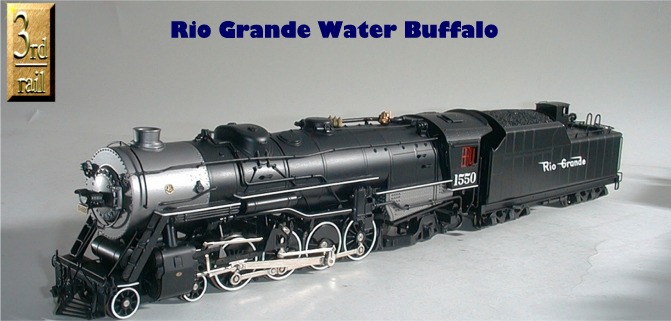 Water Buffalo
